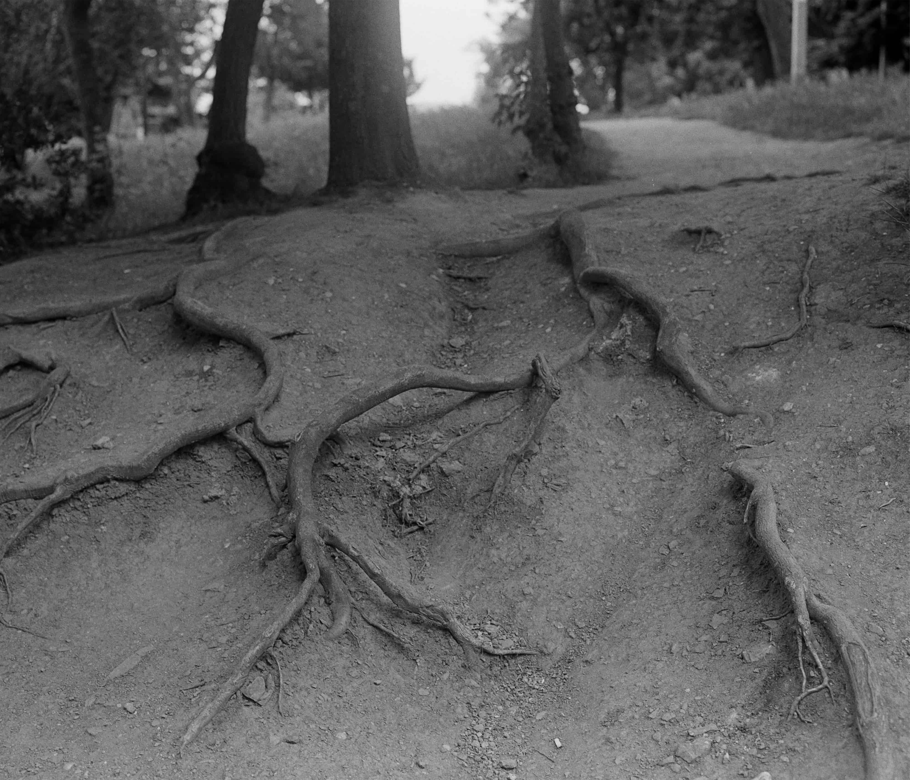 AGBAH Image 13